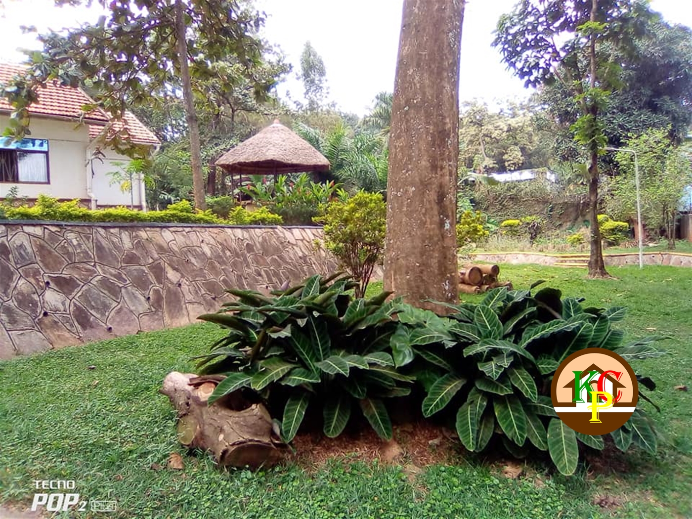 Mansion for rent in Kololo Kampala