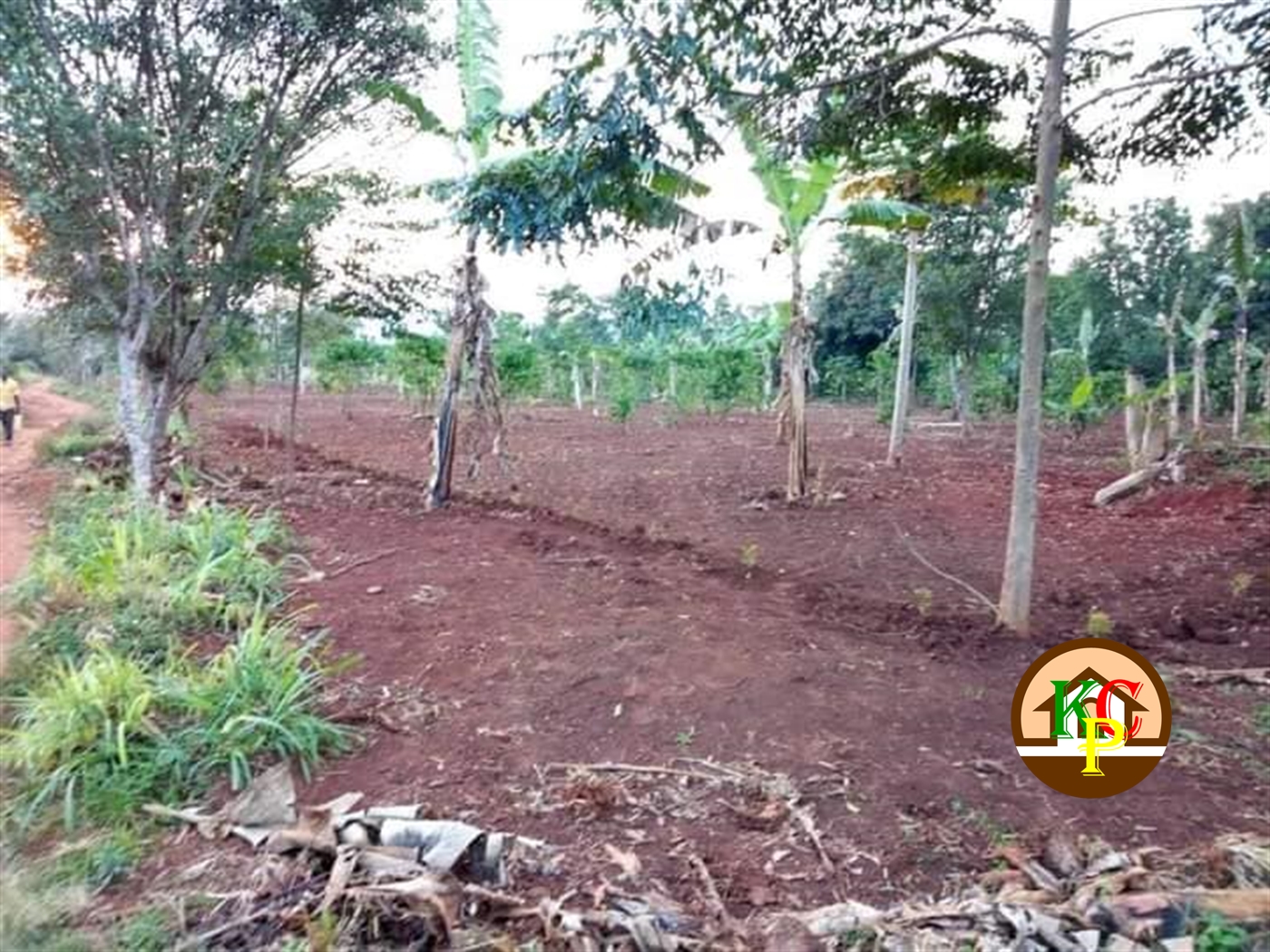 Residential Land for sale in Nakifuma Mukono