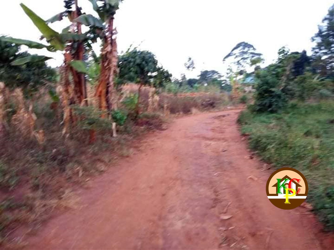 Residential Land for sale in Nakifuma Mukono