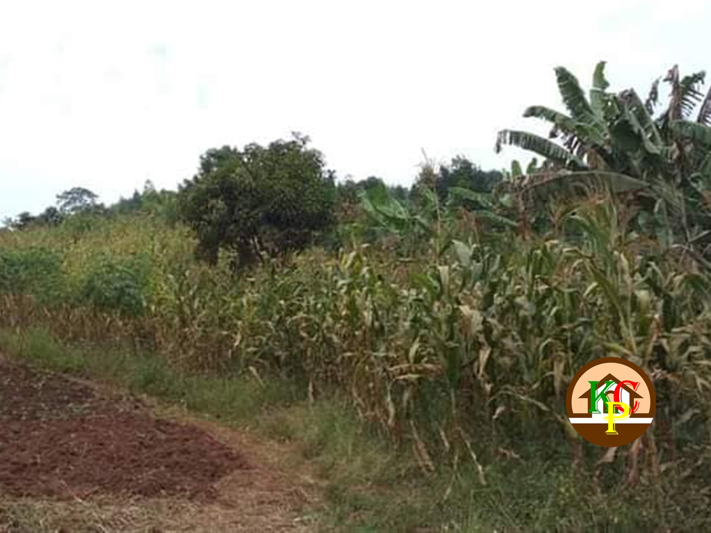 Residential Land for sale in Nkokonjeru Mukono