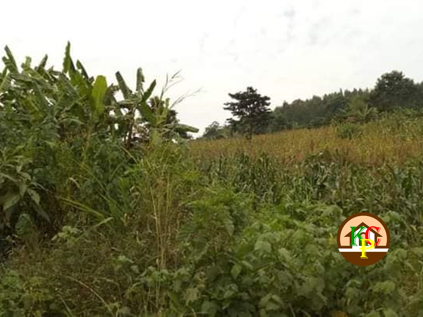 Residential Land for sale in Nkokonjeru Mukono