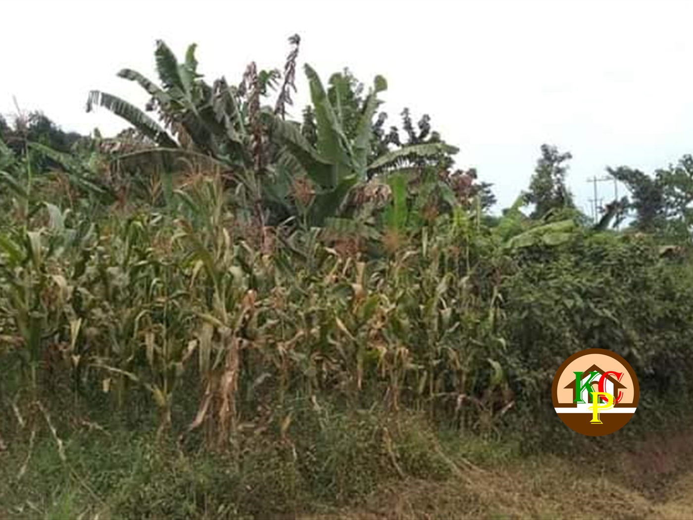 Residential Land for sale in Nkokonjeru Mukono