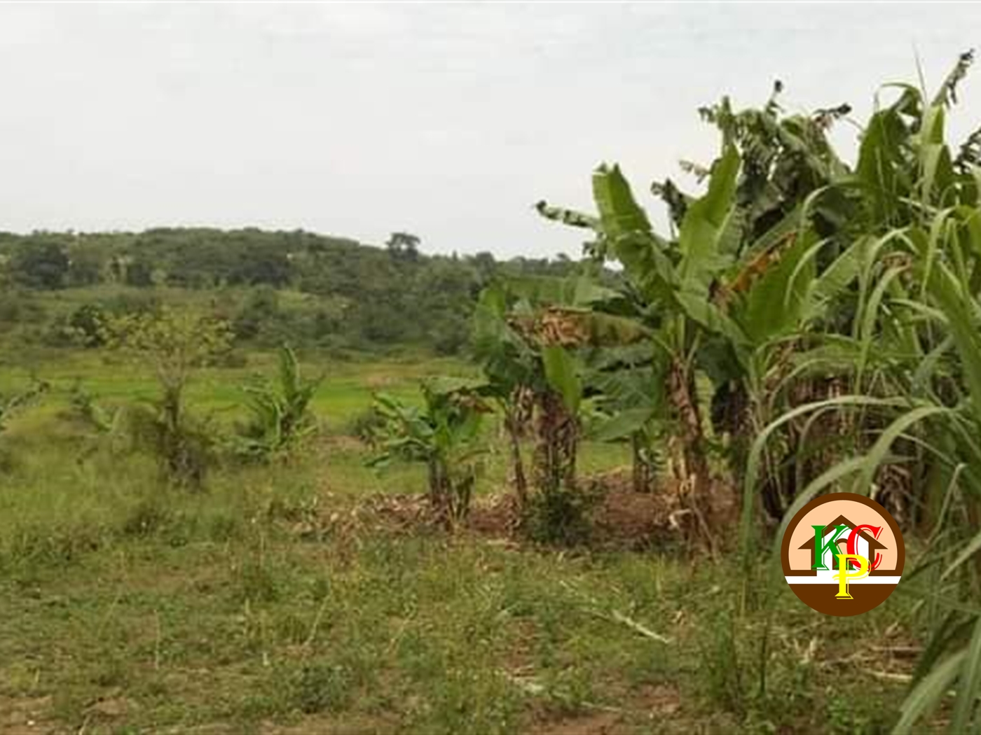 Residential Land for sale in Nkokonjeru Mukono