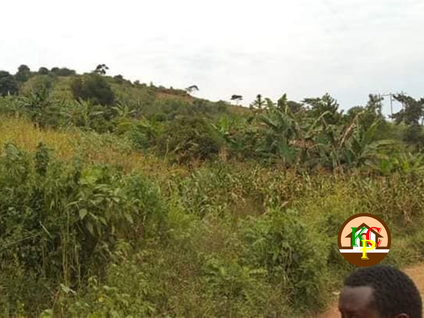 Residential Land for sale in Nkokonjeru Mukono