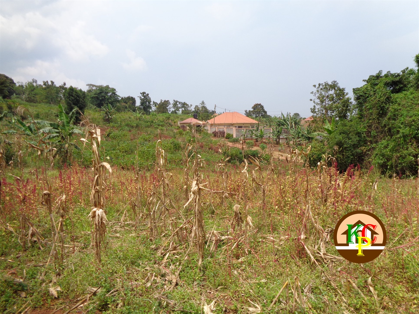 Residential Land for sale in Gayaza Wakiso