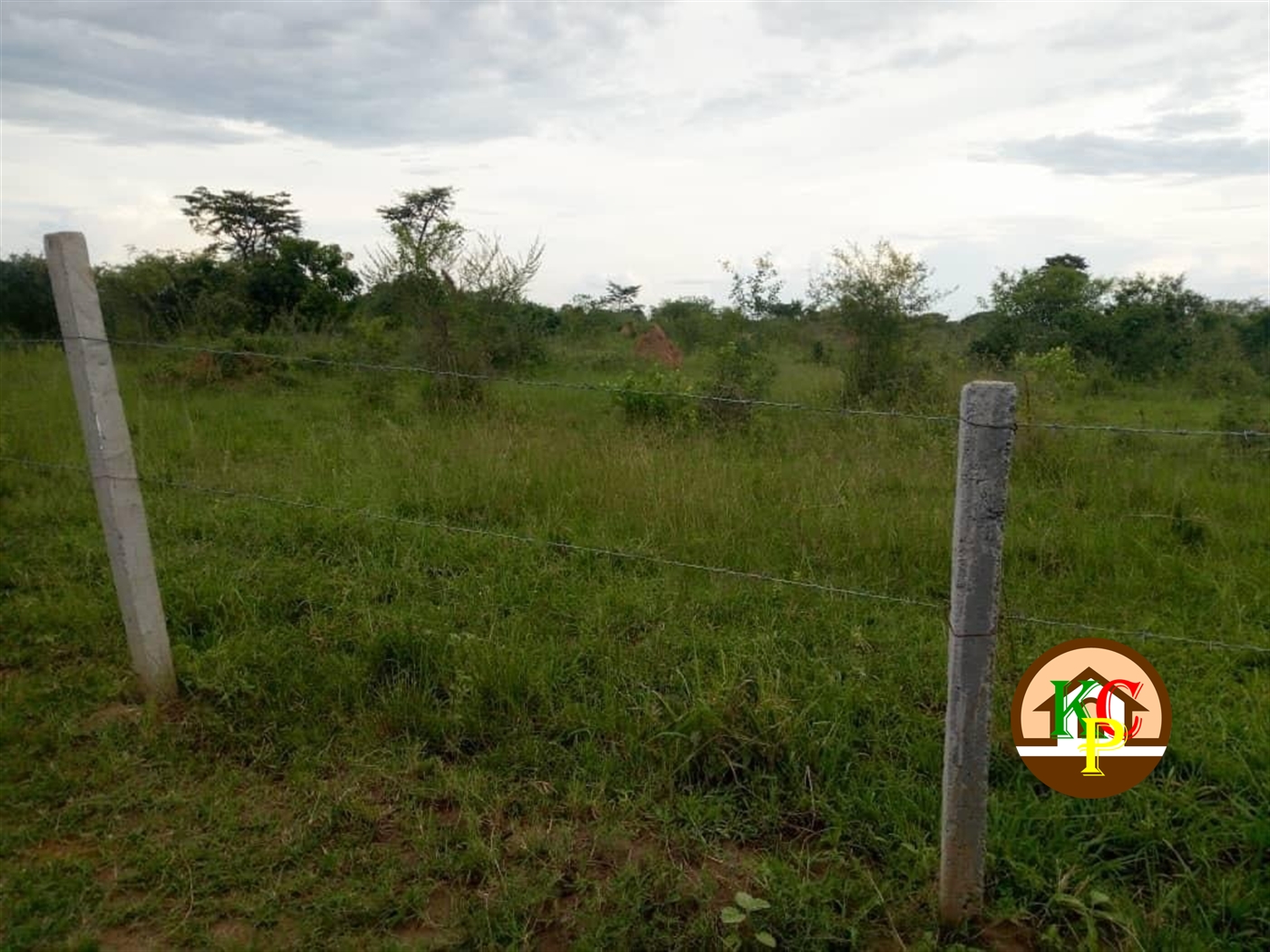 Agricultural Land for sale in Kazwama Nakasongola