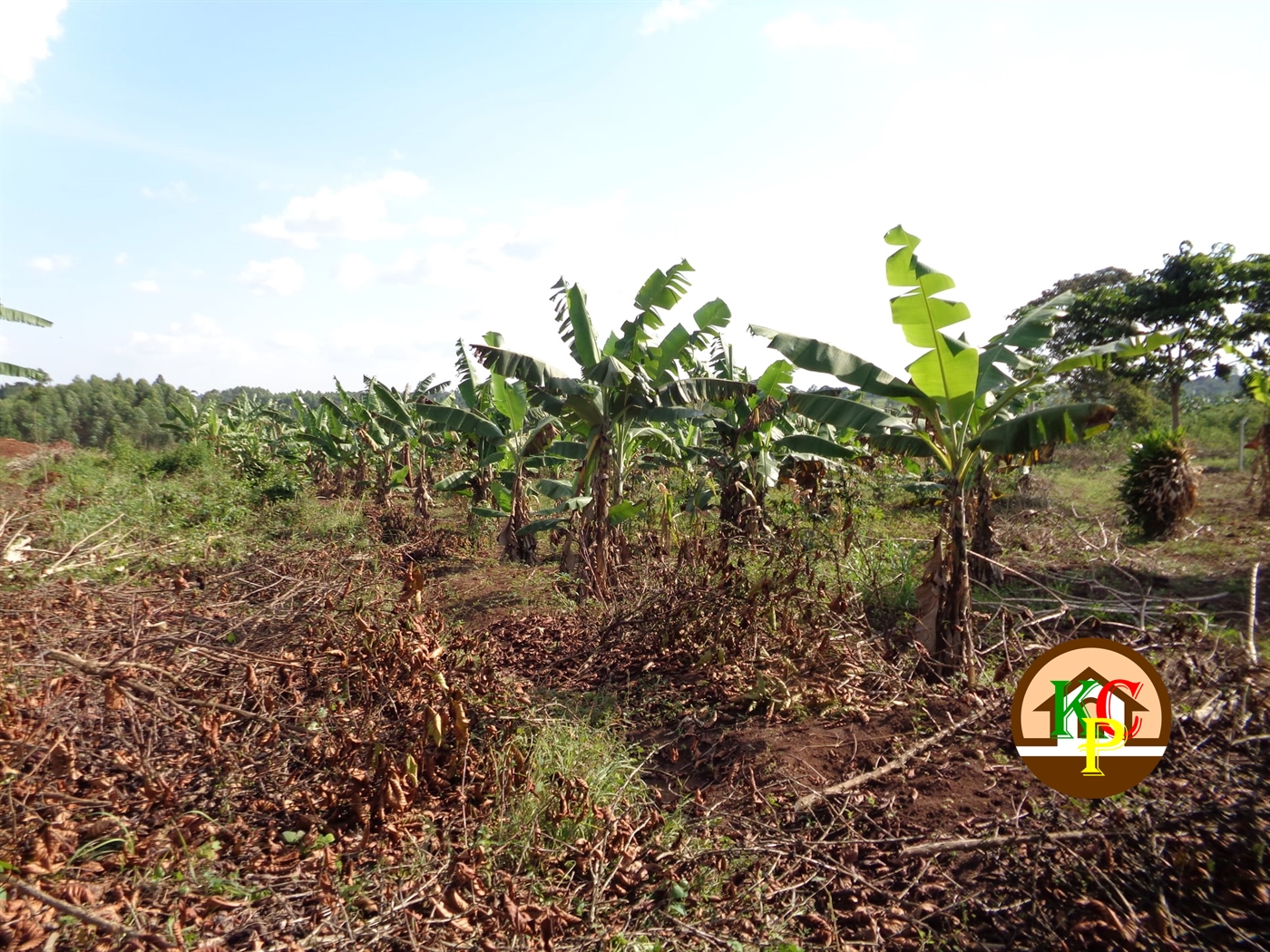 Residential Land for sale in Busiika Luweero