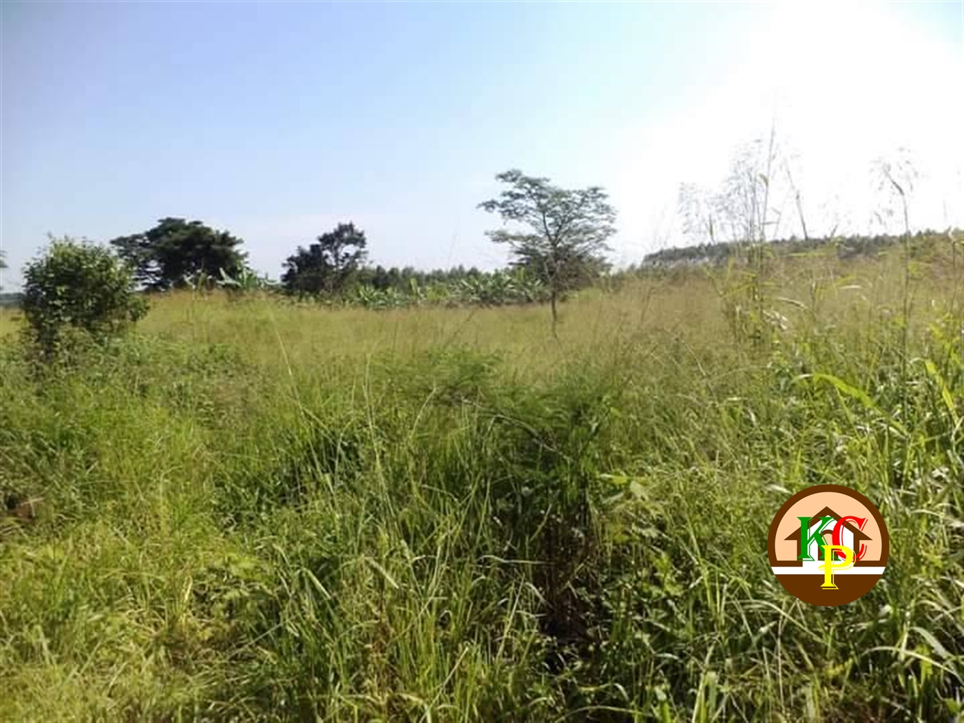 Residential Land for sale in Ziloobwe Luweero