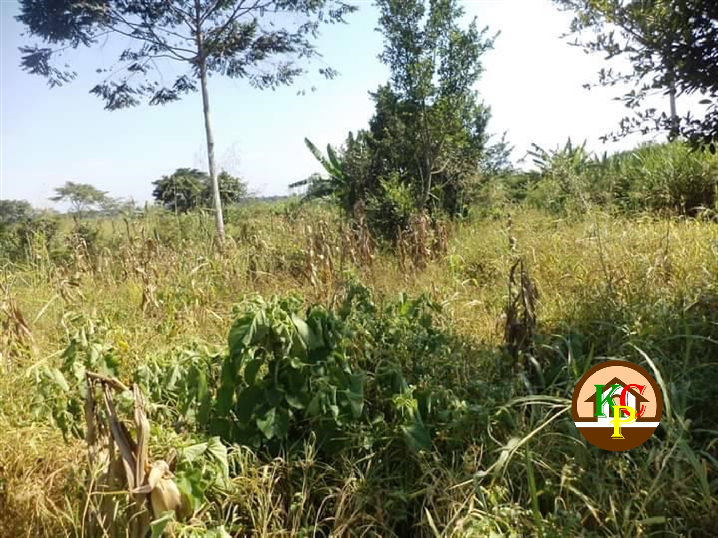 Residential Land for sale in Ziloobwe Luweero