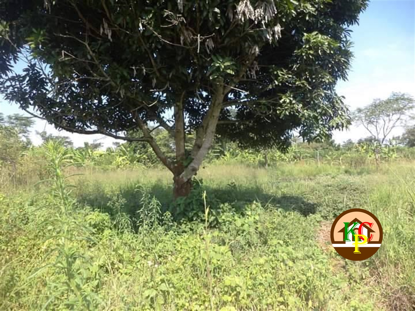 Residential Land for sale in Ziloobwe Luweero