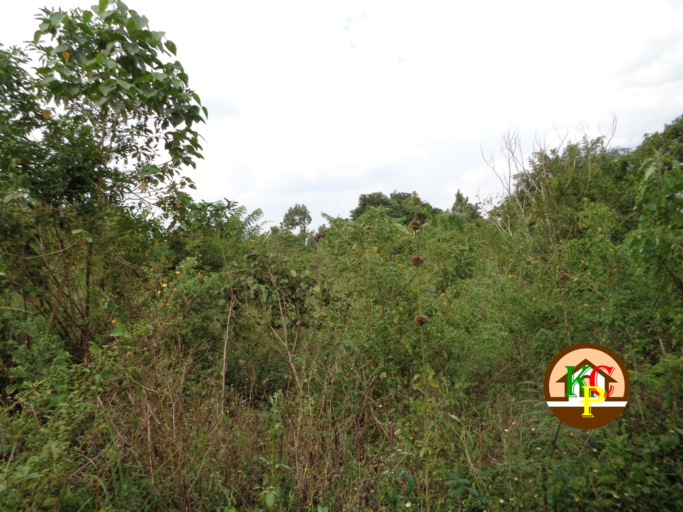 Residential Land for sale in Ziloobwe Luweero