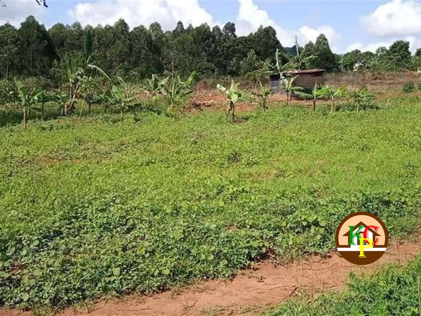 Residential Land for sale in Buwama Mpigi