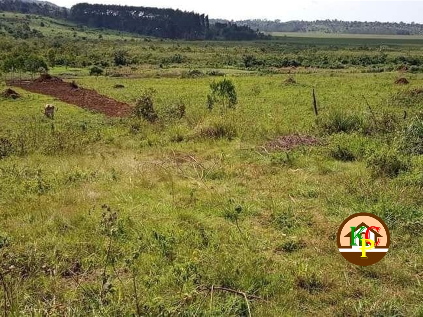 Residential Land for sale in Buwama Mpigi