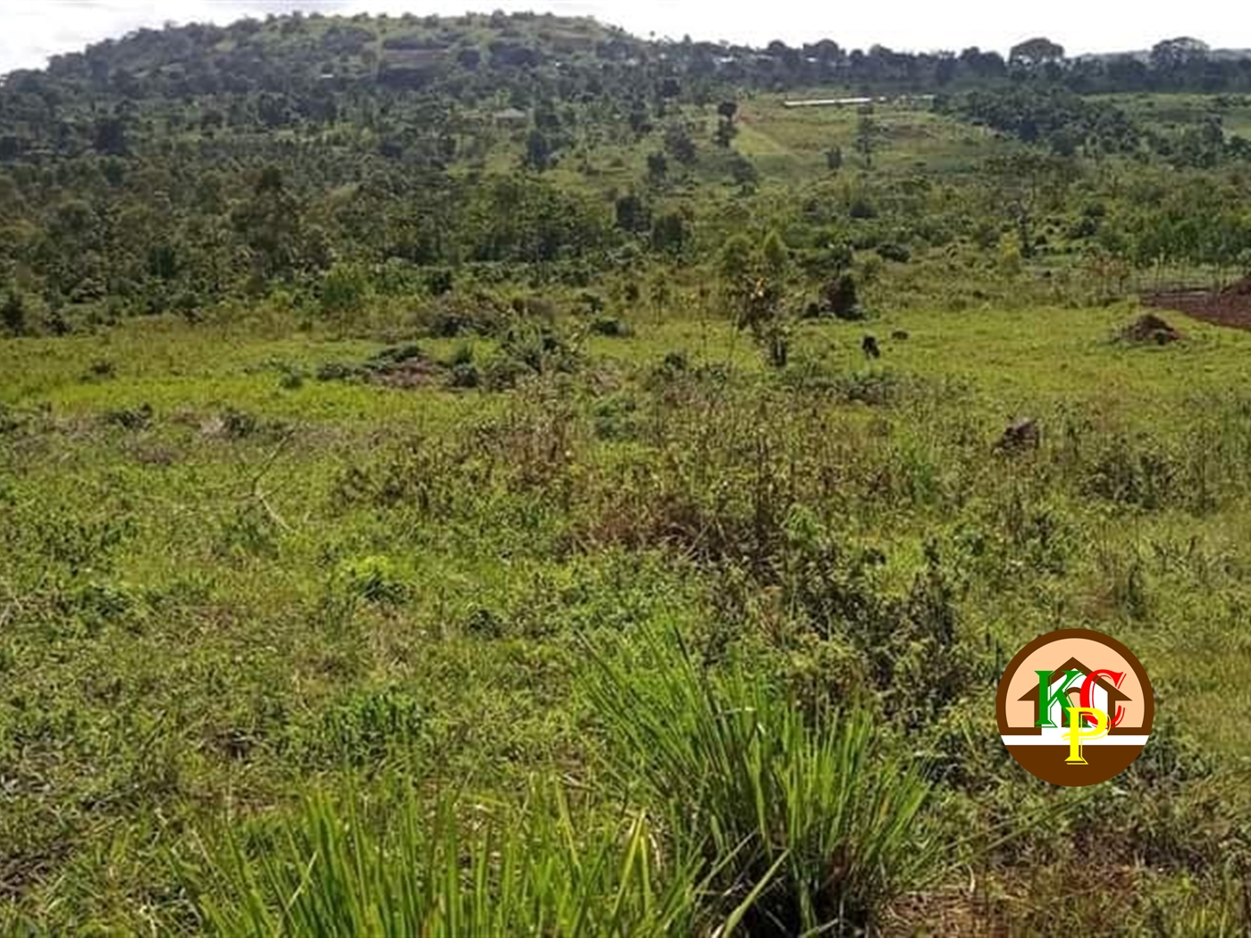 Residential Land for sale in Buwama Mpigi