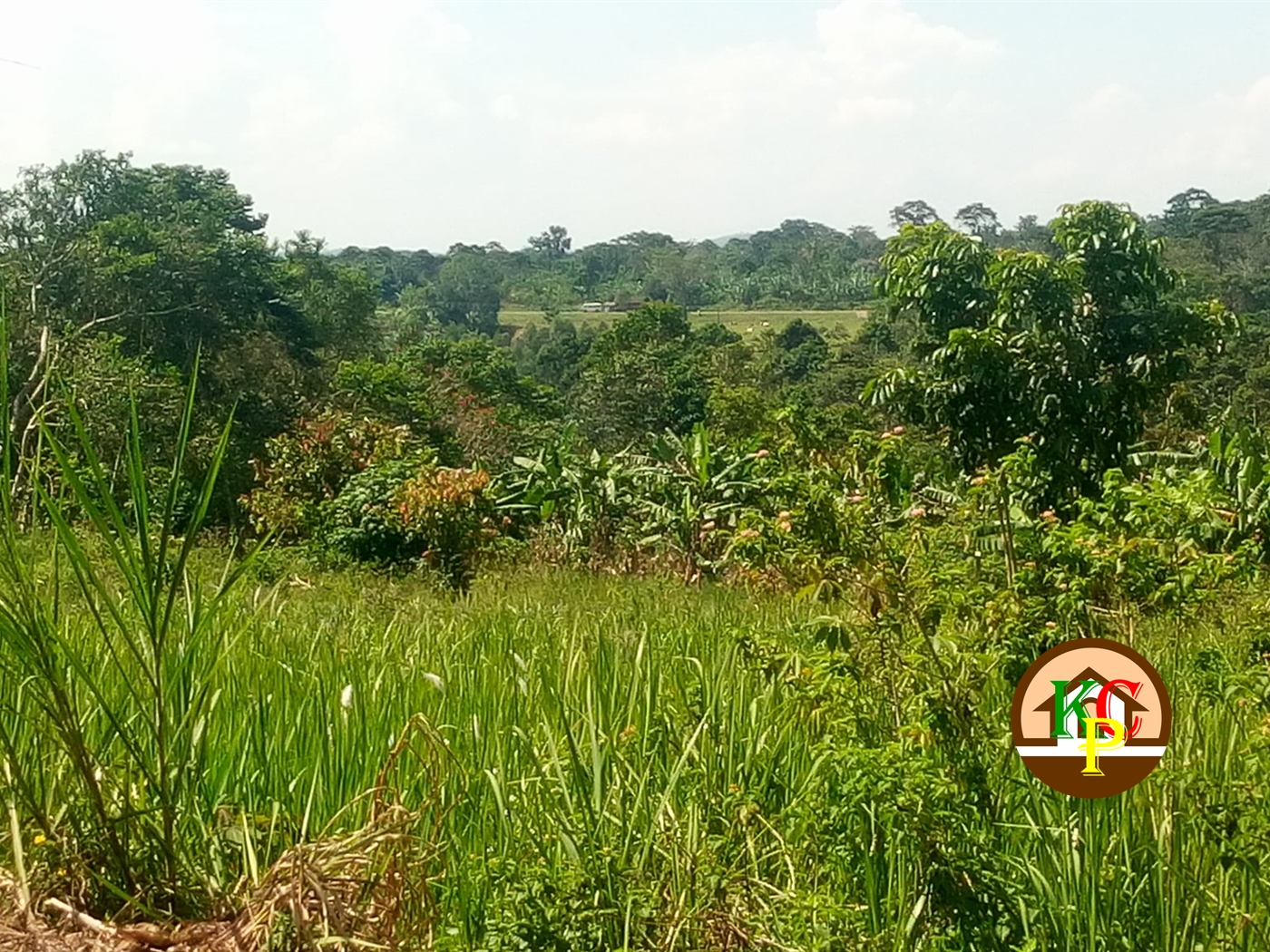 Residential Land for sale in Nkokonjeru Mukono