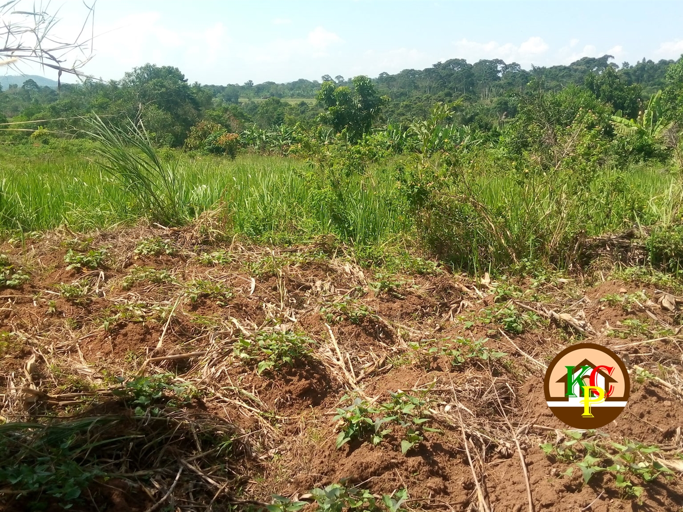 Residential Land for sale in Nkokonjeru Mukono