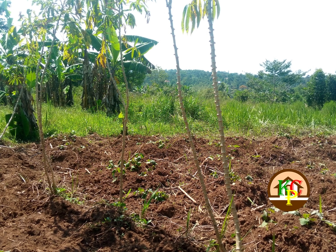 Residential Land for sale in Nkokonjeru Mukono