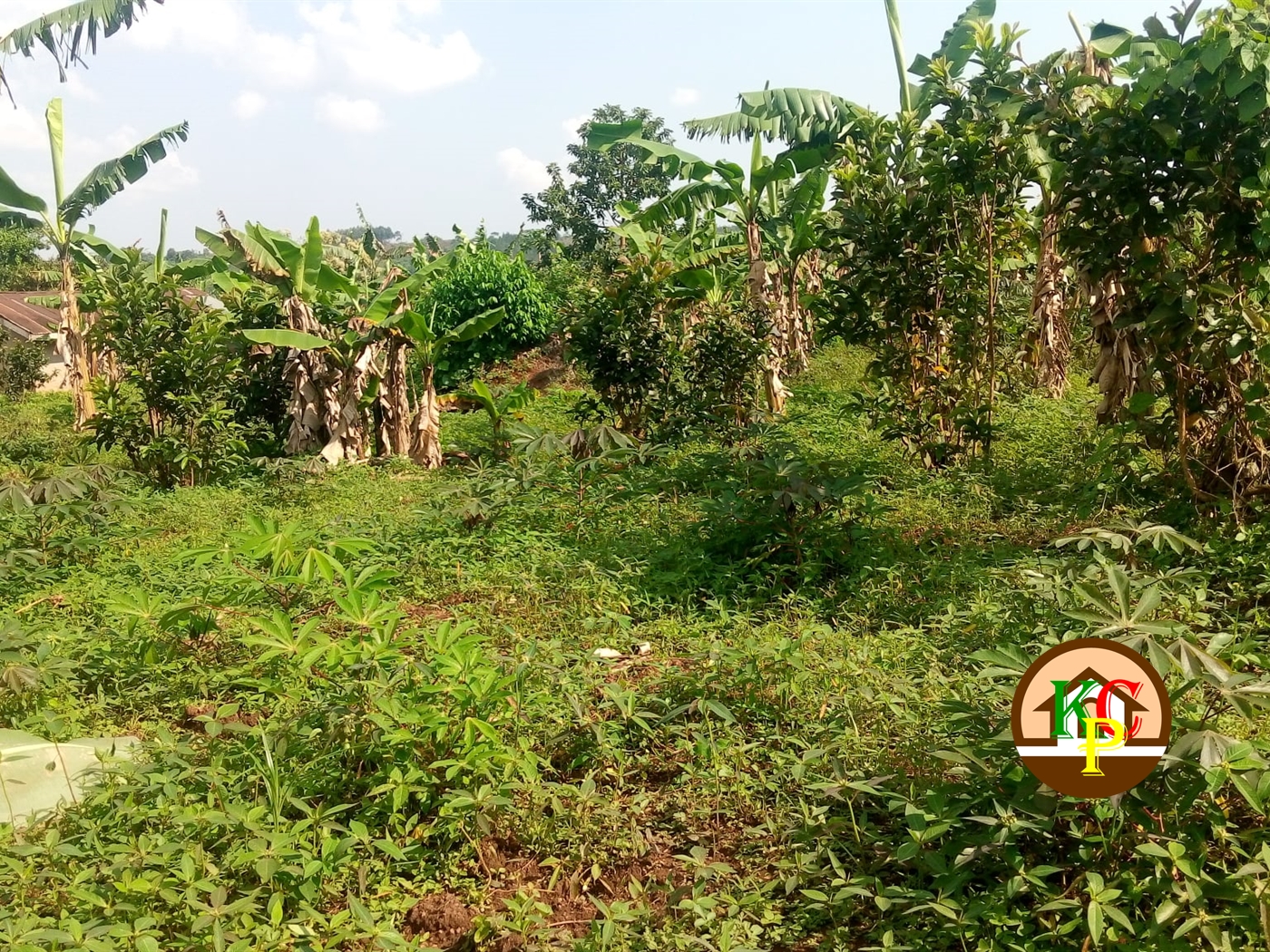 Residential Land for sale in Kayanja Mukono