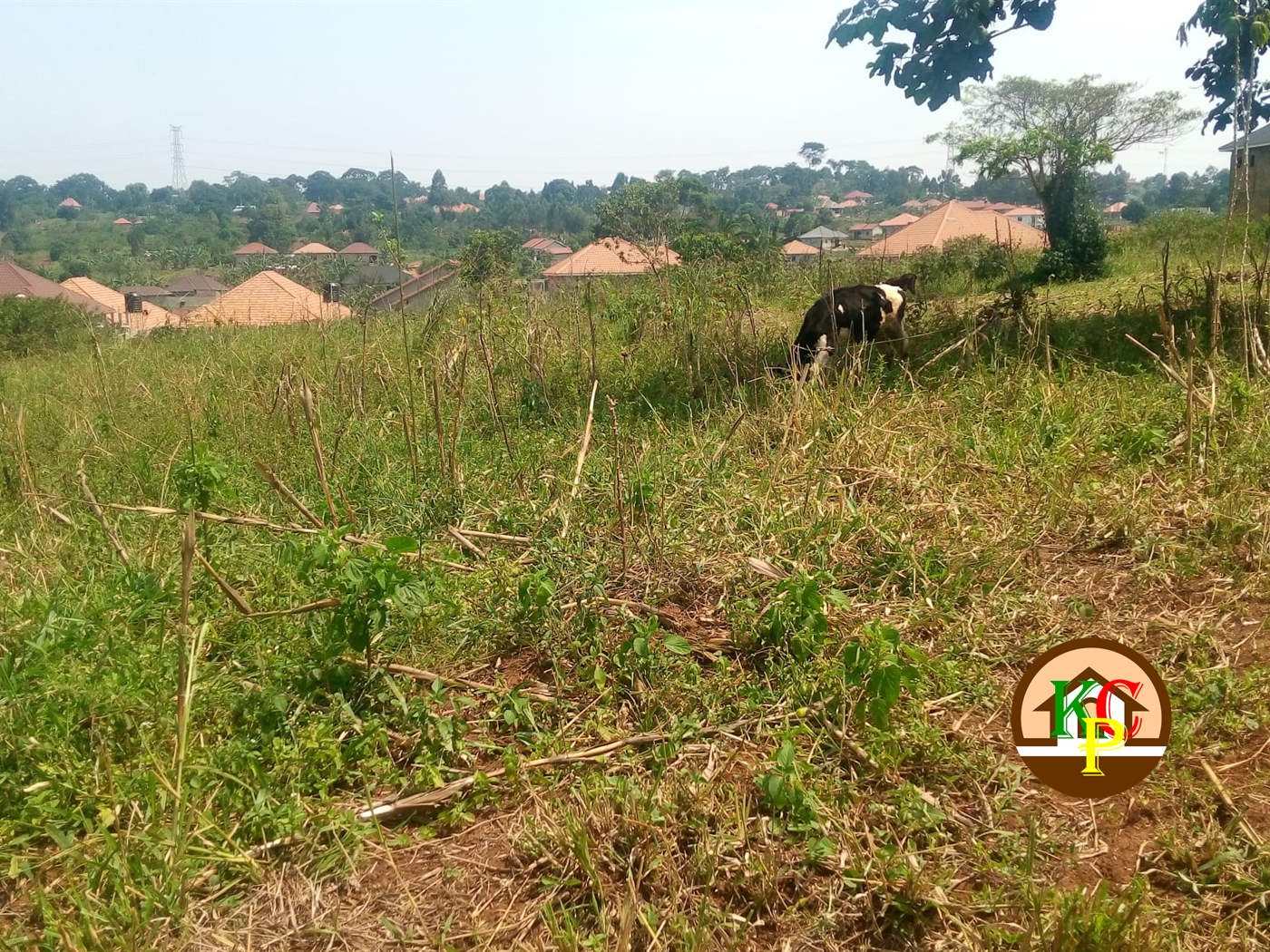 Residential Land for sale in Kiwango Mukono