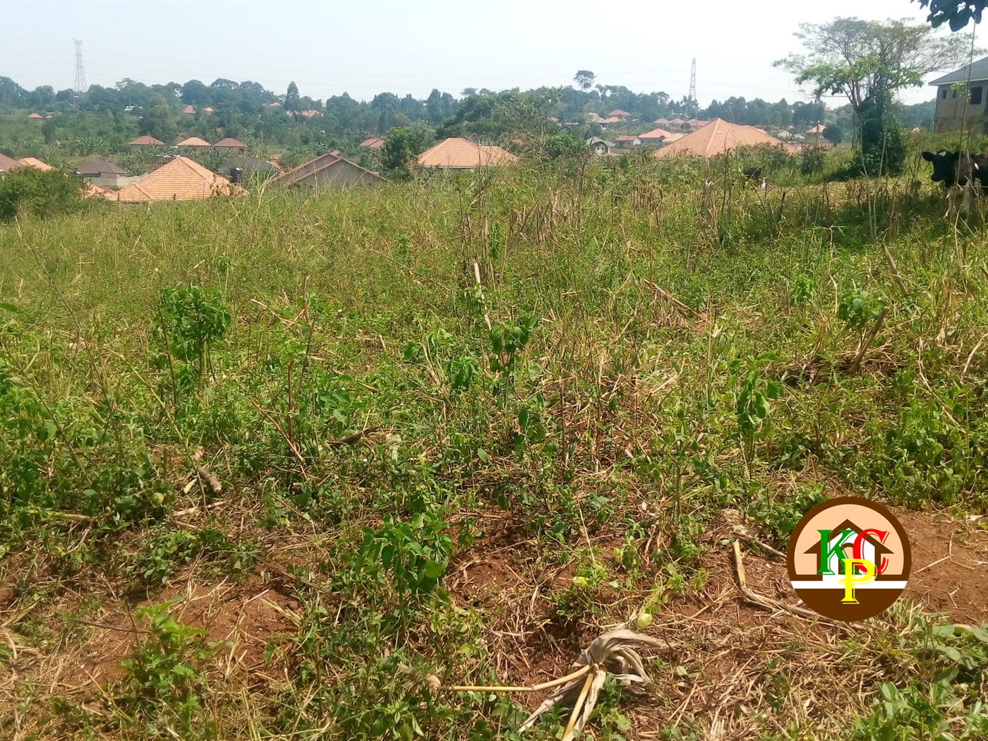 Residential Land for sale in Kiwango Mukono