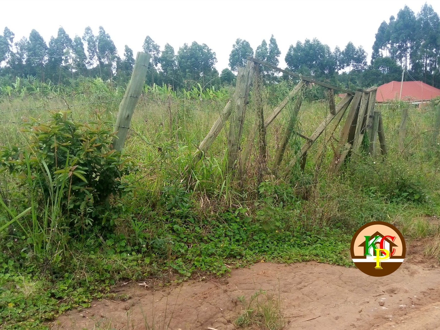 Residential Land for sale in Mpoma Mukono