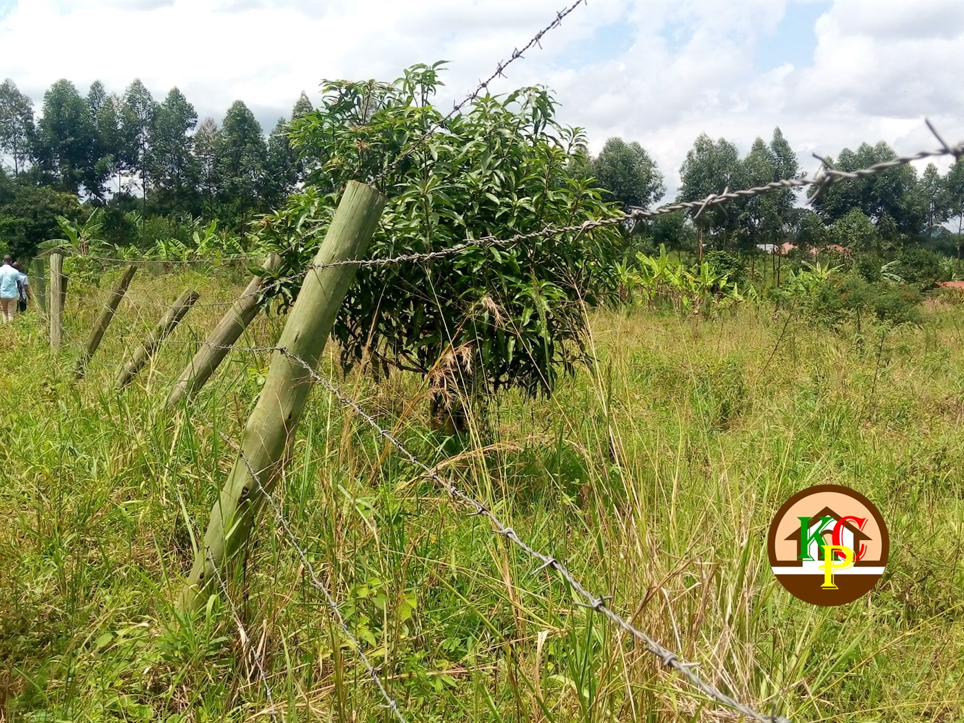 Residential Land for sale in Mpoma Mukono