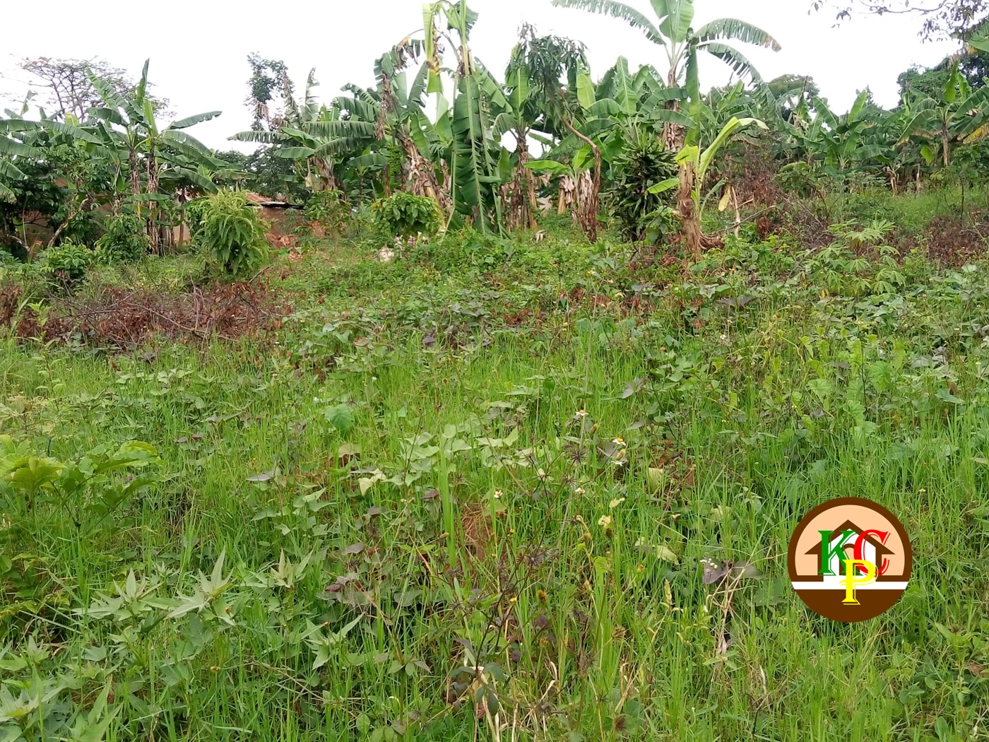 Residential Land for sale in Kabembe Mukono