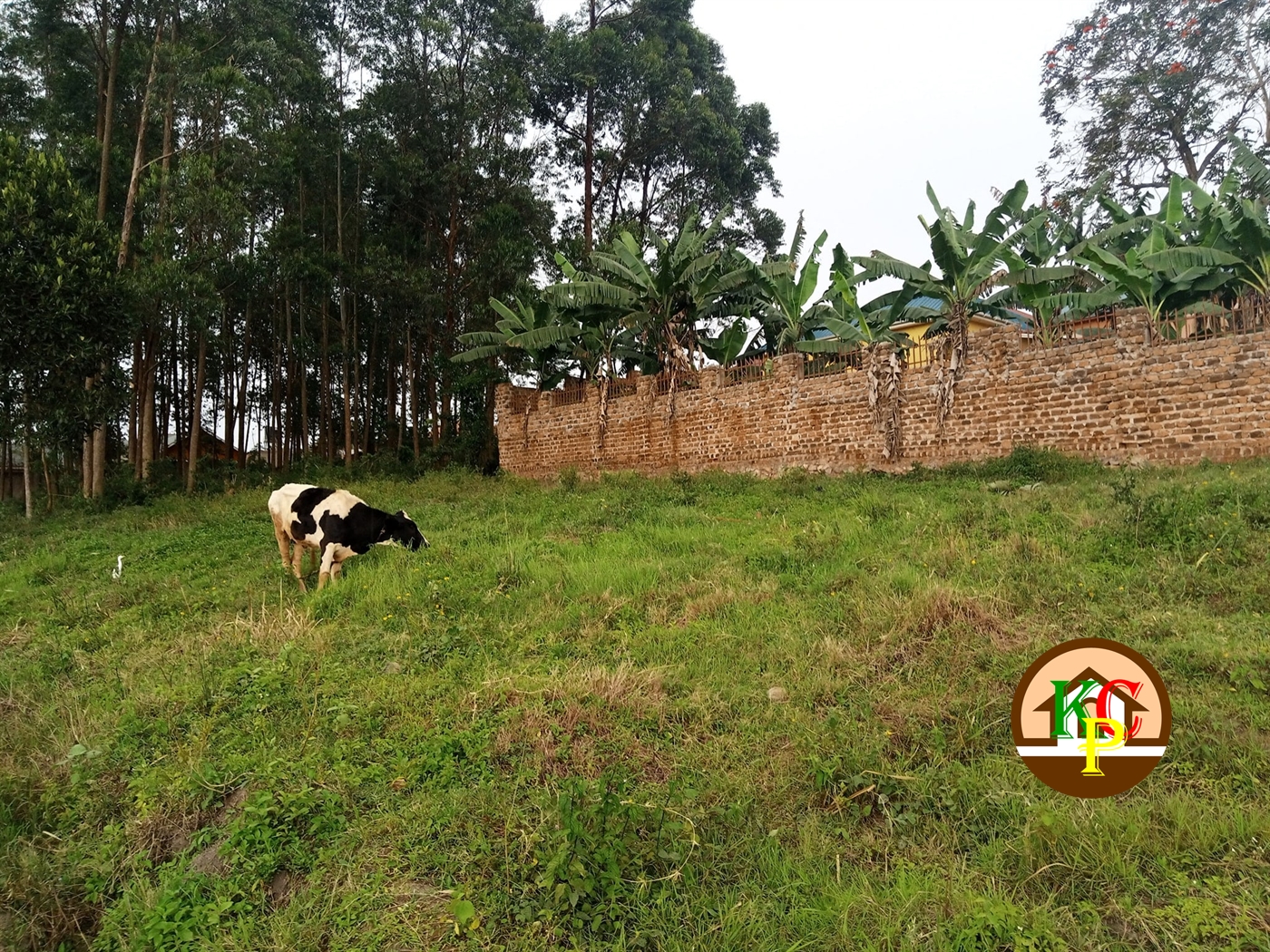 Residential Land for sale in Namugongo Wakiso