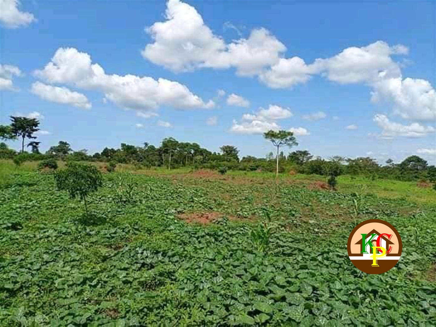 Residential Land for sale in Kikyuusa Luweero