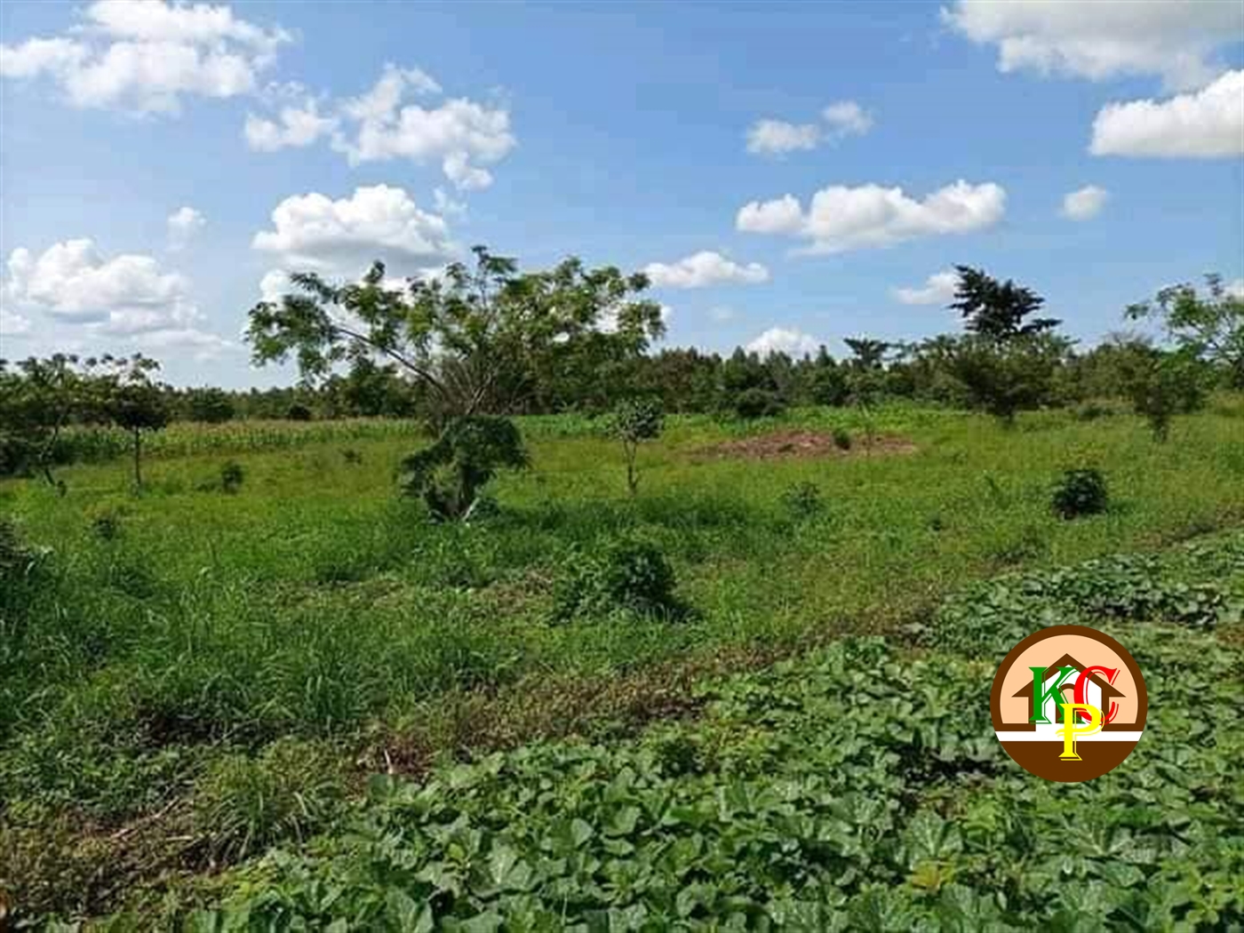 Residential Land for sale in Kikyuusa Luweero