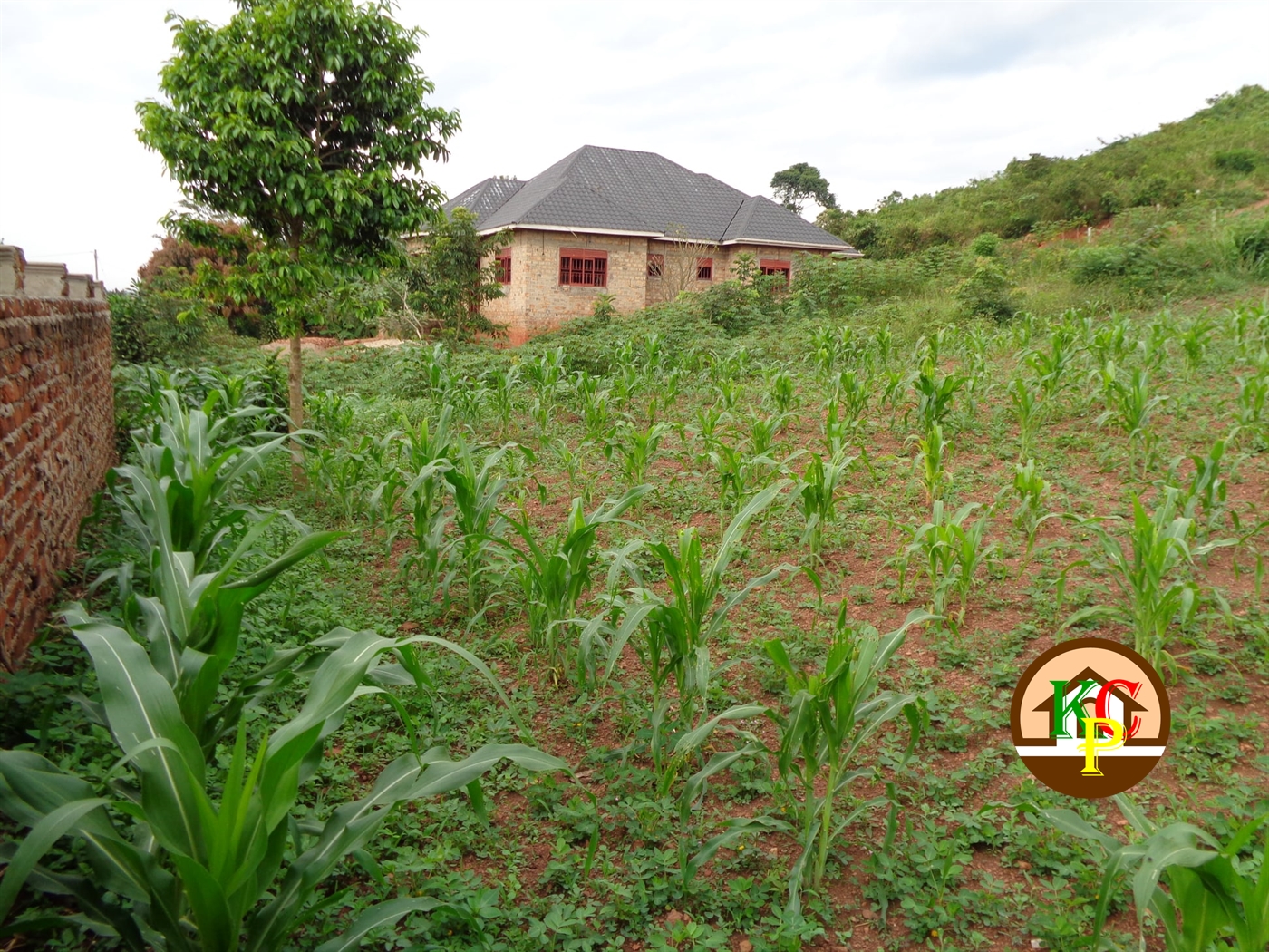 Residential Land for sale in Gayaza Wakiso