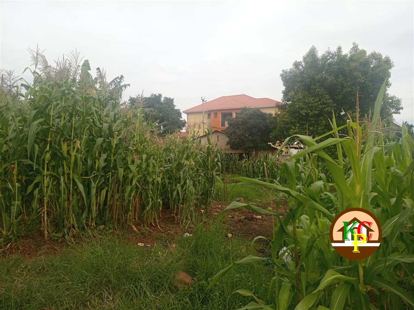 Residential Land for sale in Mutungo Kampala