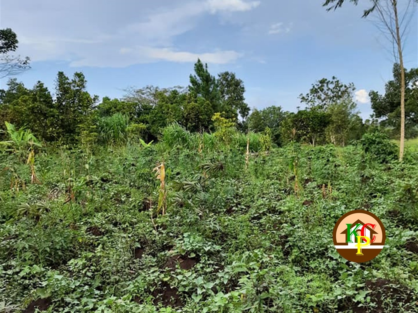 Recreational Land for sale in Gayaza Wakiso