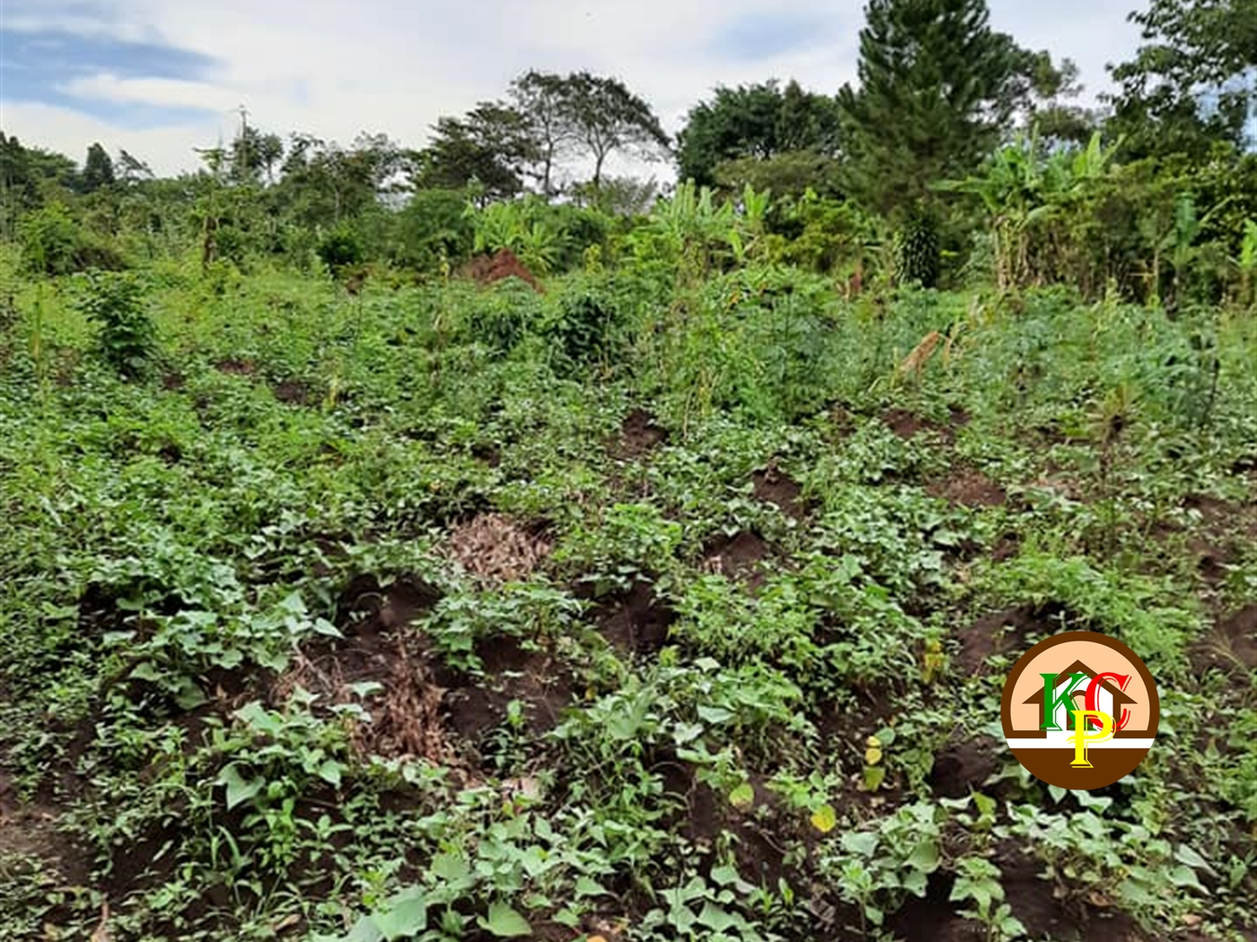 Recreational Land for sale in Gayaza Wakiso