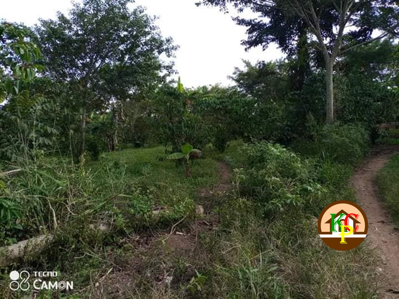 Agricultural Land for sale in Ziloobwe Luweero