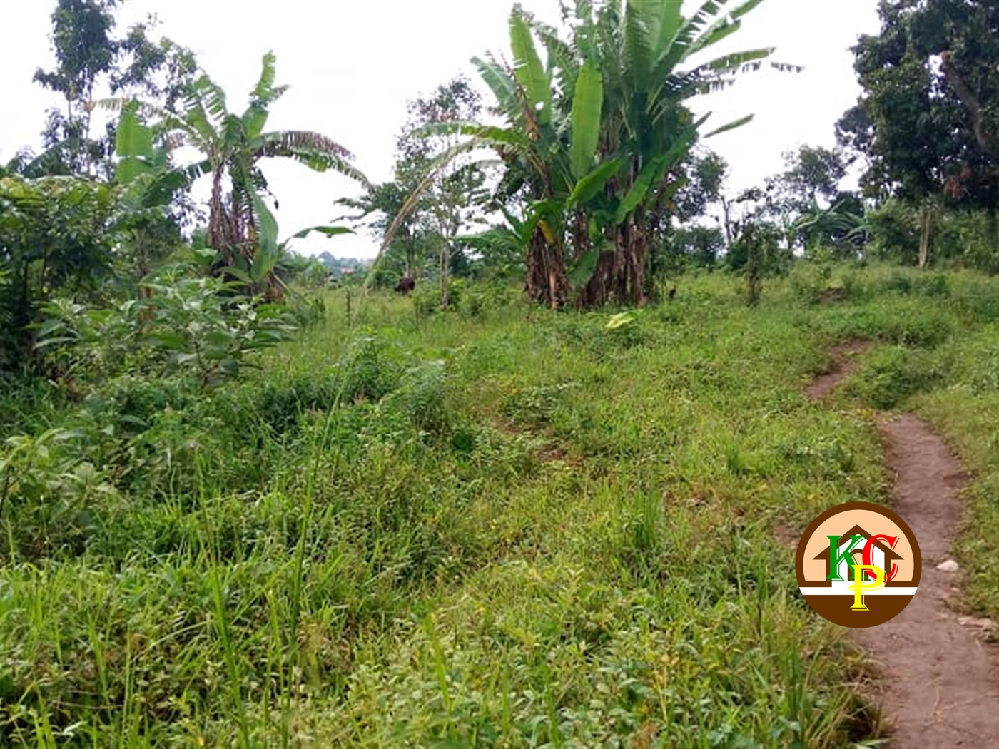 Residential Land for sale in Nsambwe Mukono