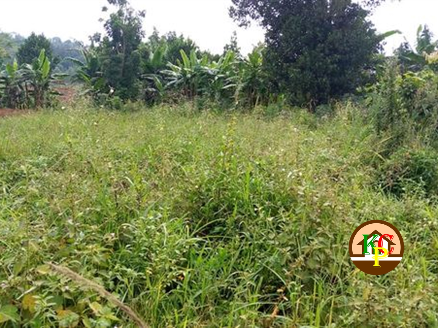 Residential Land for sale in Nsambwe Mukono