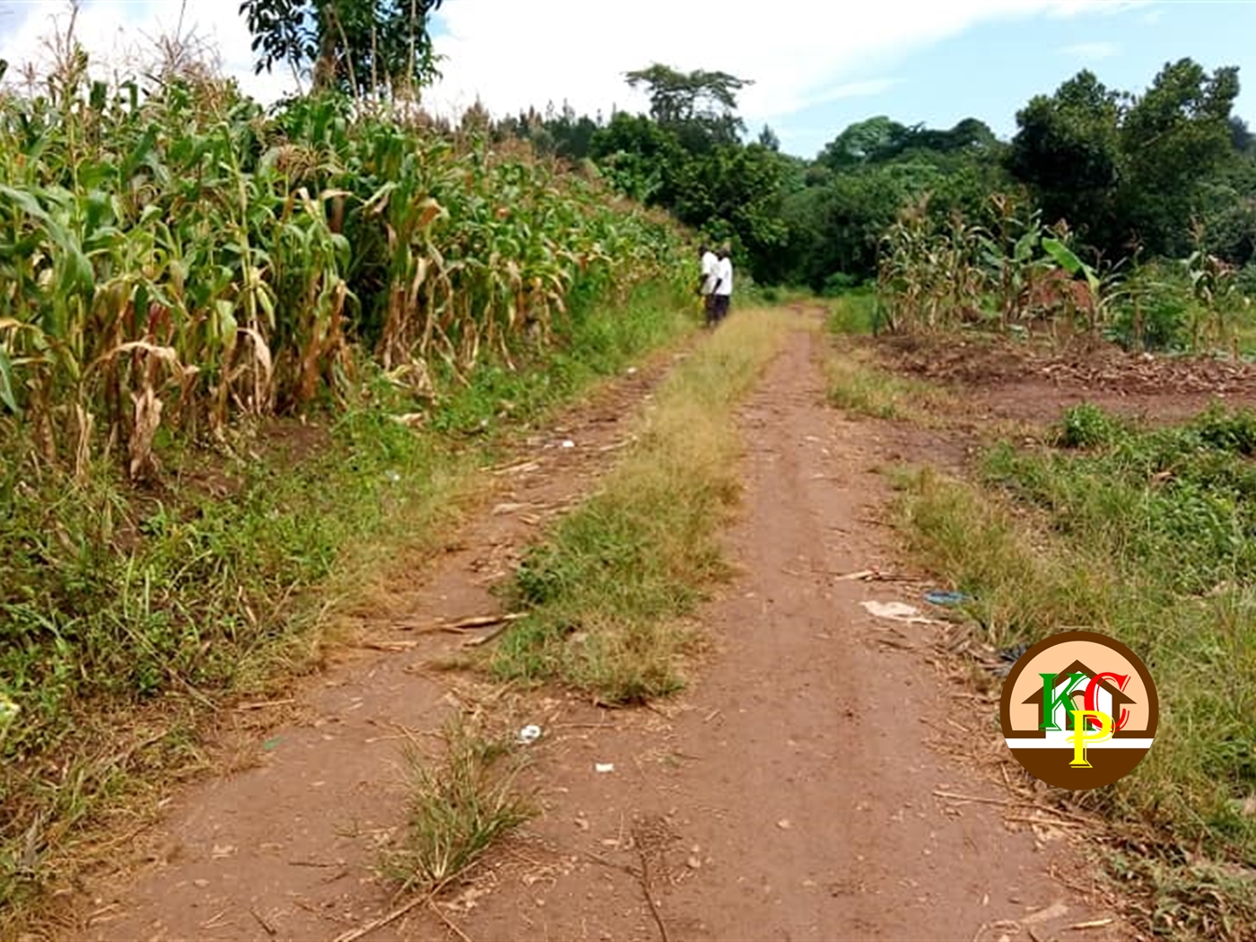 Residential Land for sale in Nsambwe Mukono