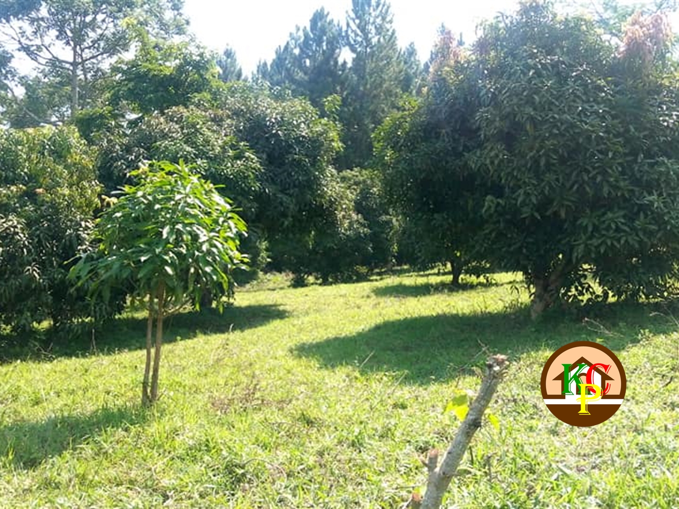 Residential Land for sale in Kabembe Mukono