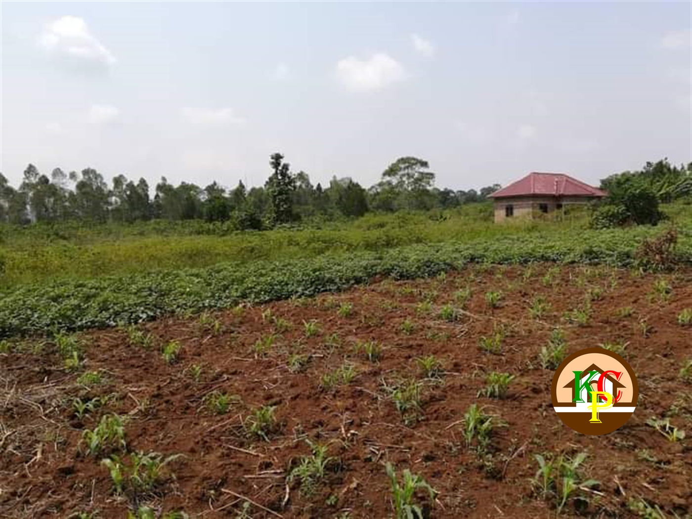 Residential Land for sale in Kate Mukono