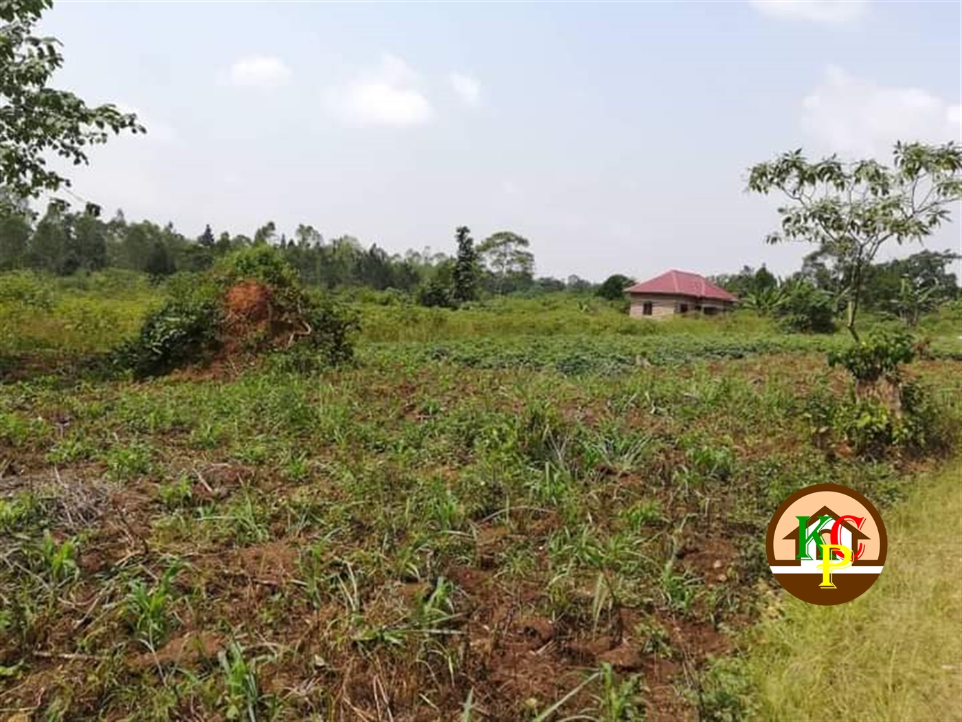 Residential Land for sale in Kate Mukono