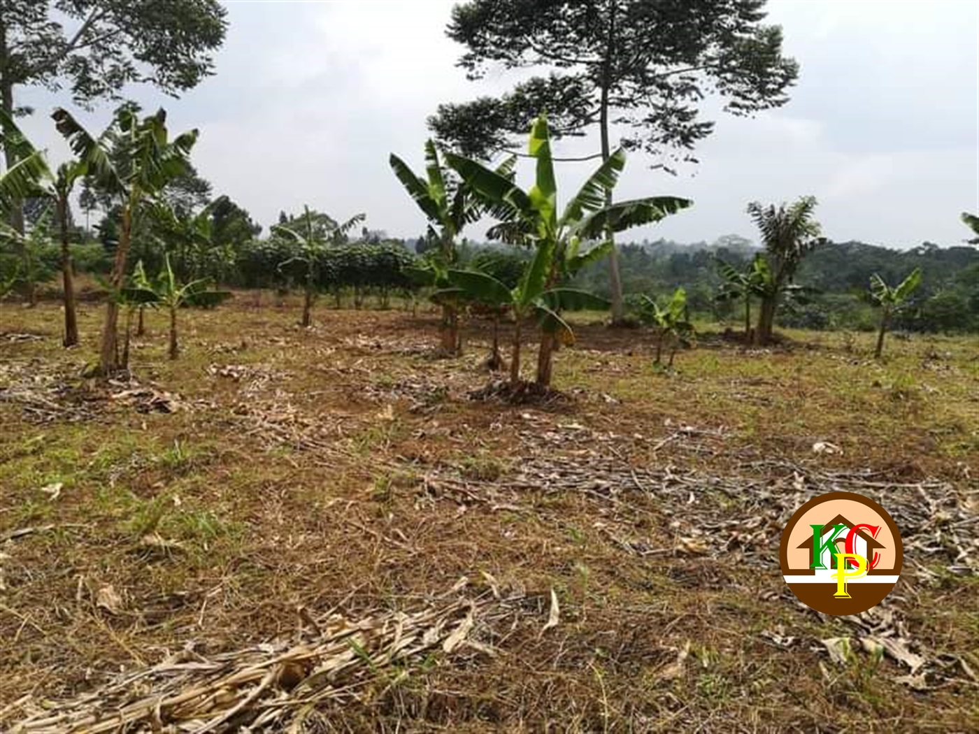 Residential Land for sale in Kate Mukono