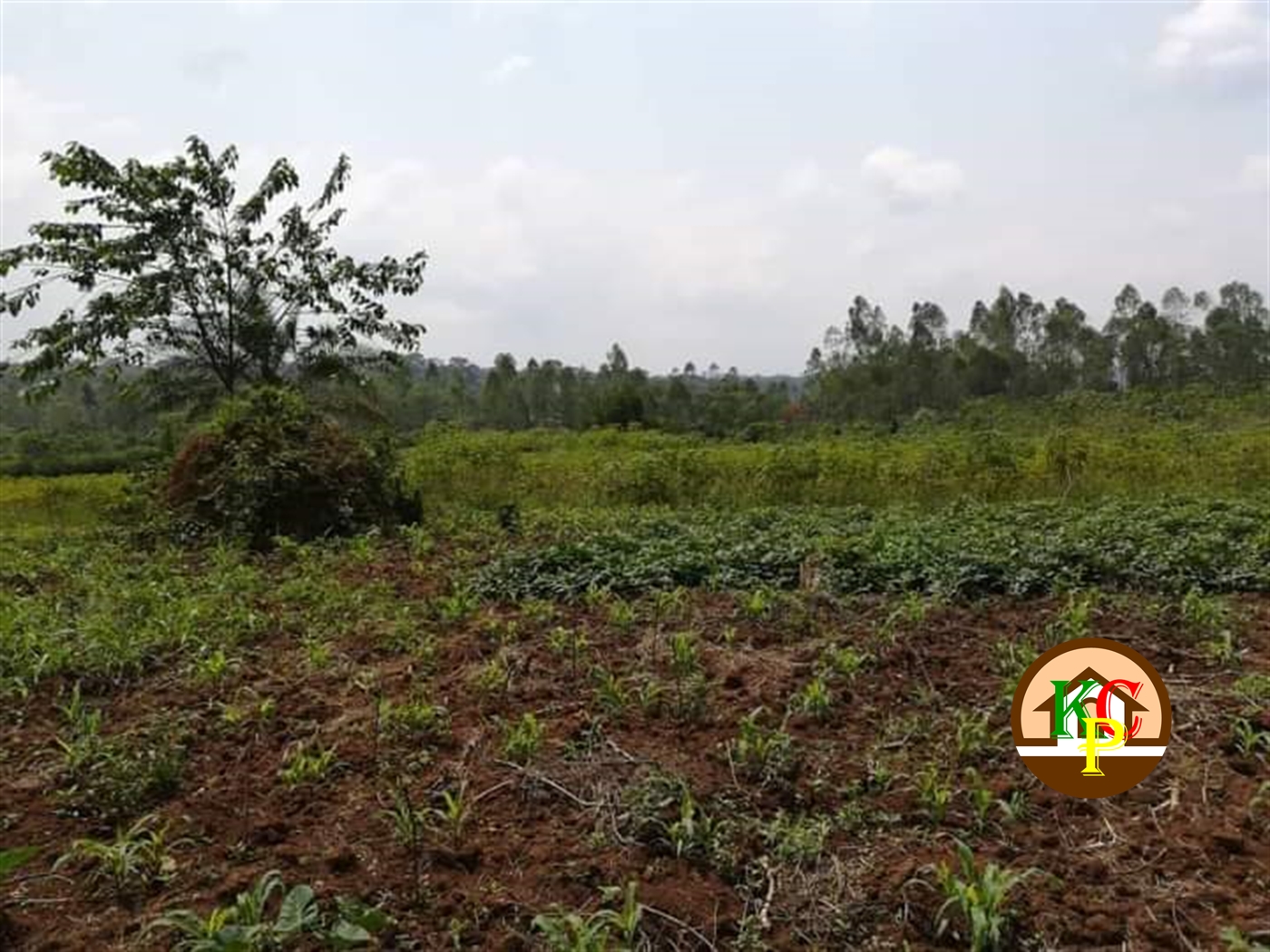 Residential Land for sale in Kate Mukono