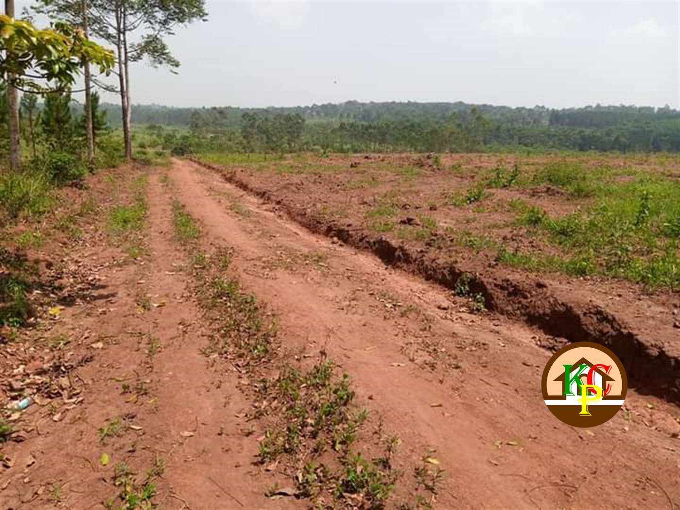 Residential Land for sale in Bukeelele Mukono