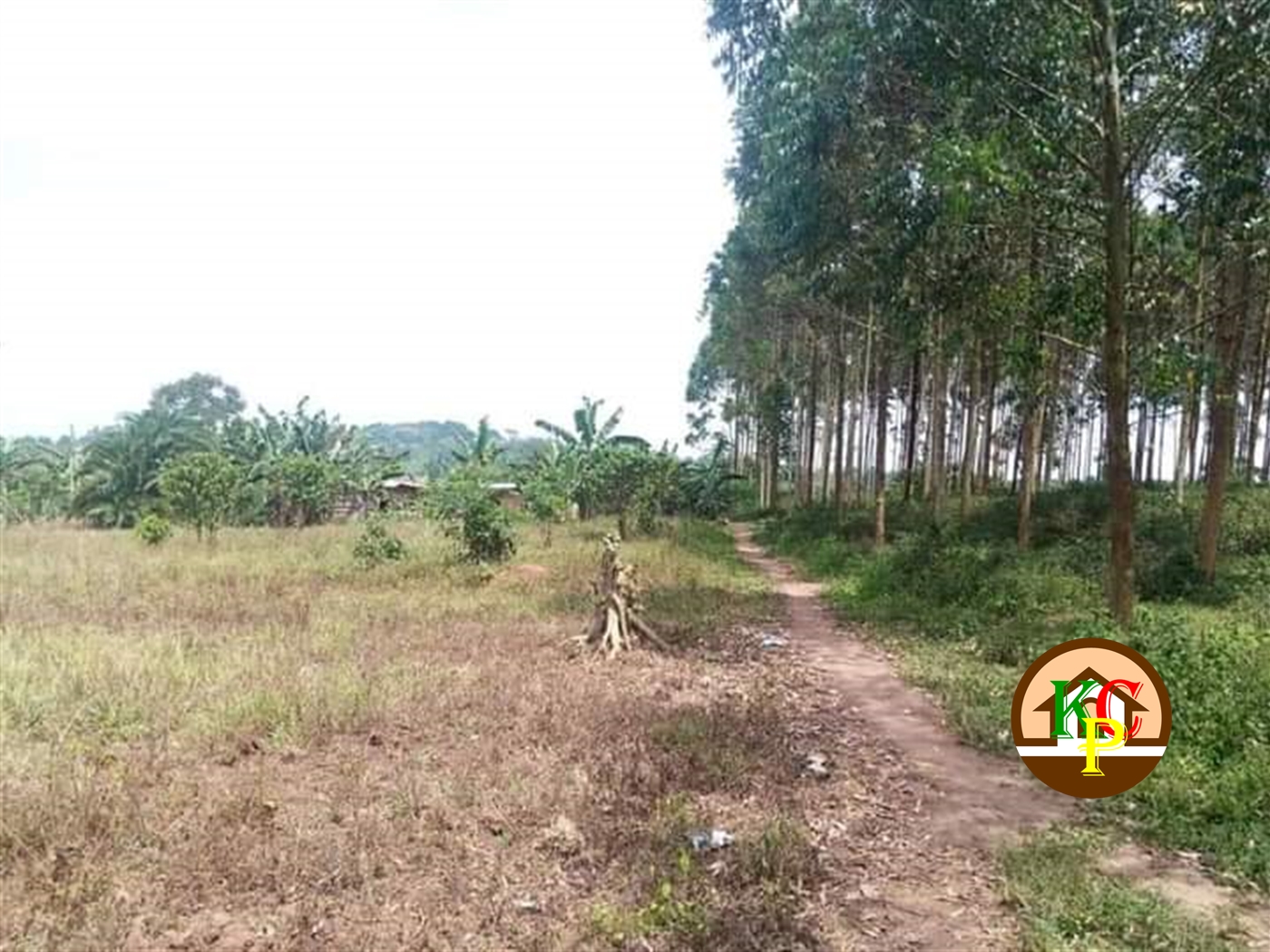 Residential Land for sale in Seroma Mukono