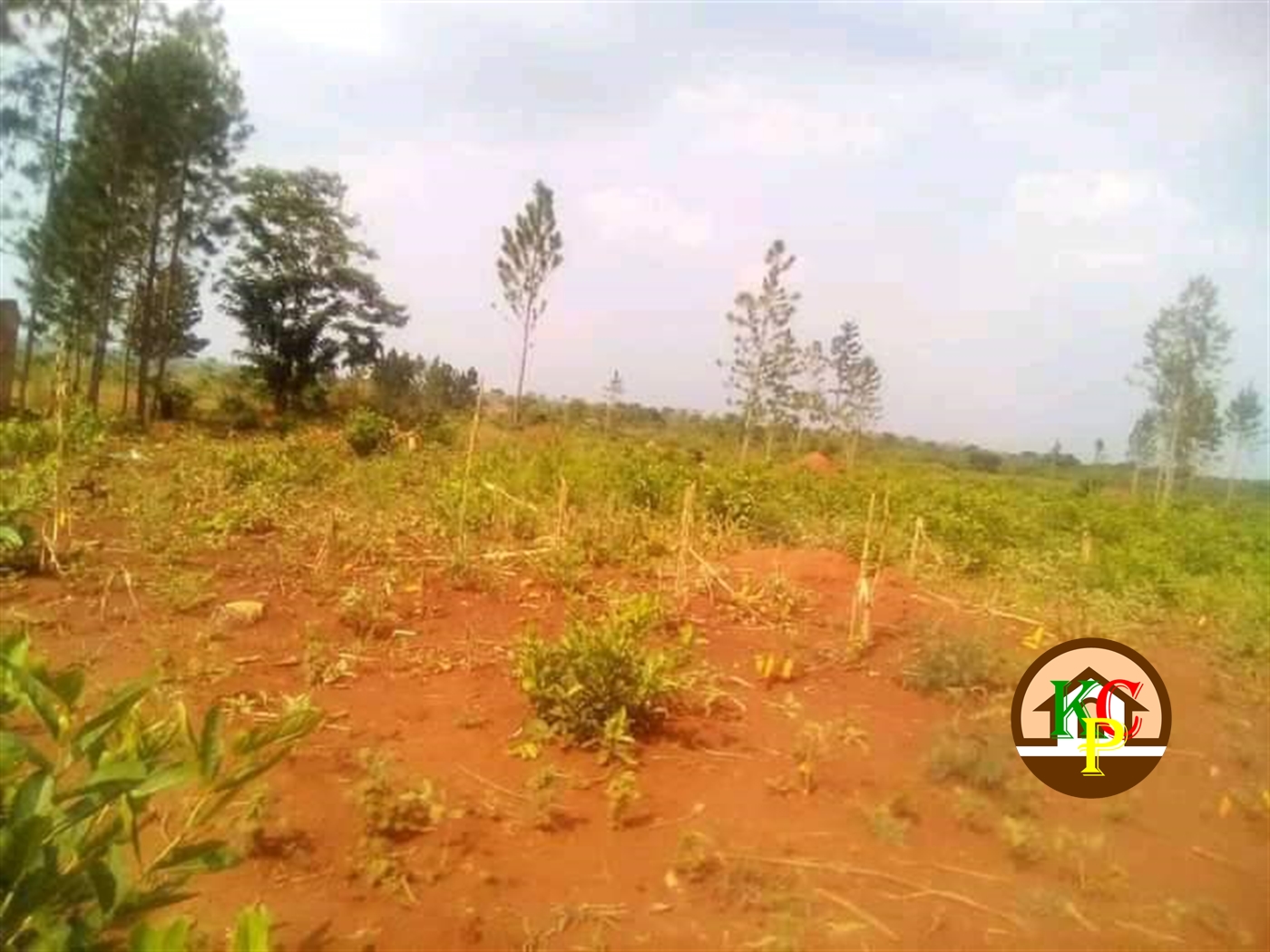 Residential Land for sale in Kakooge Luweero