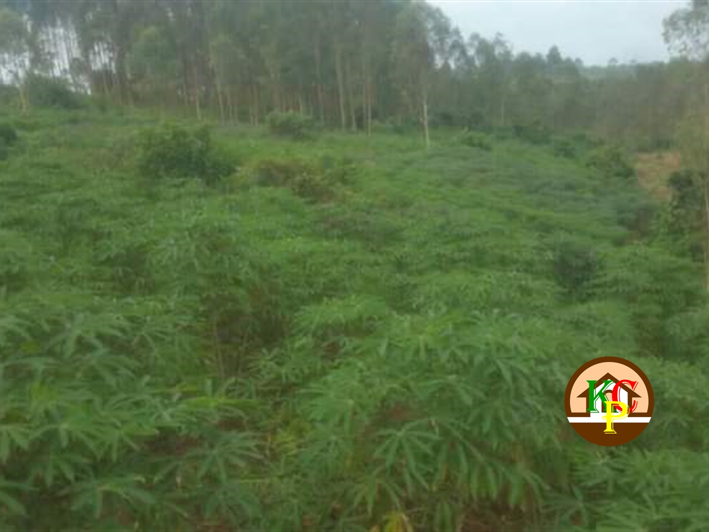 Residential Land for sale in Namanve Mukono