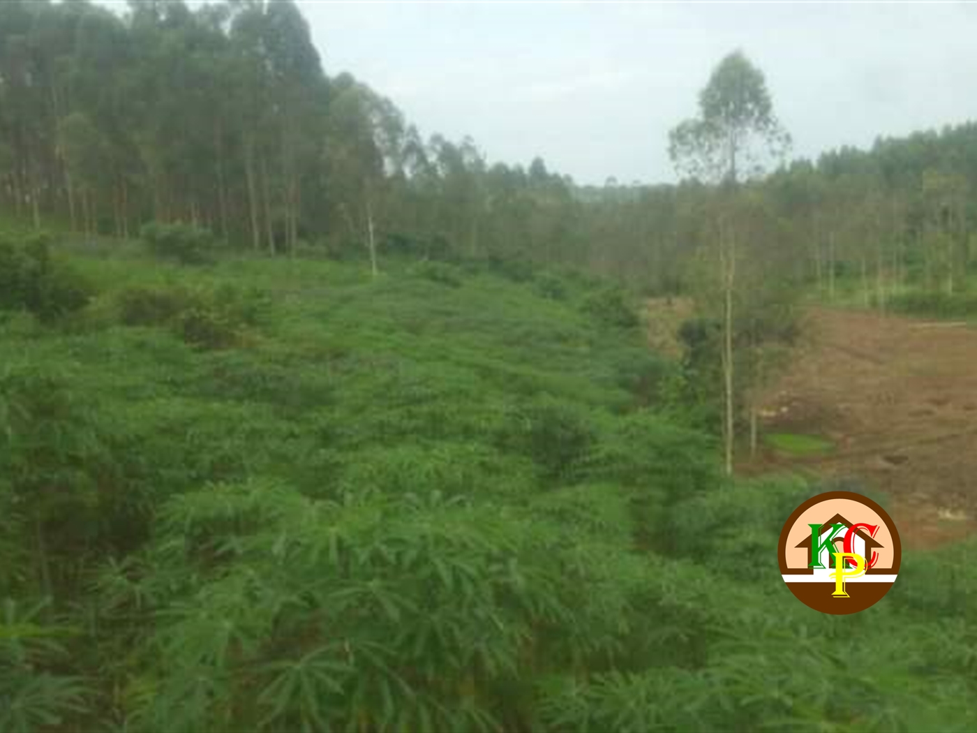 Residential Land for sale in Namanve Mukono