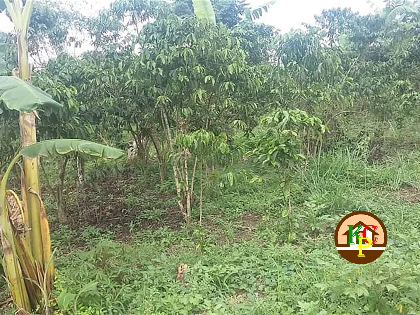 Residential Land for sale in Kasana Luweero