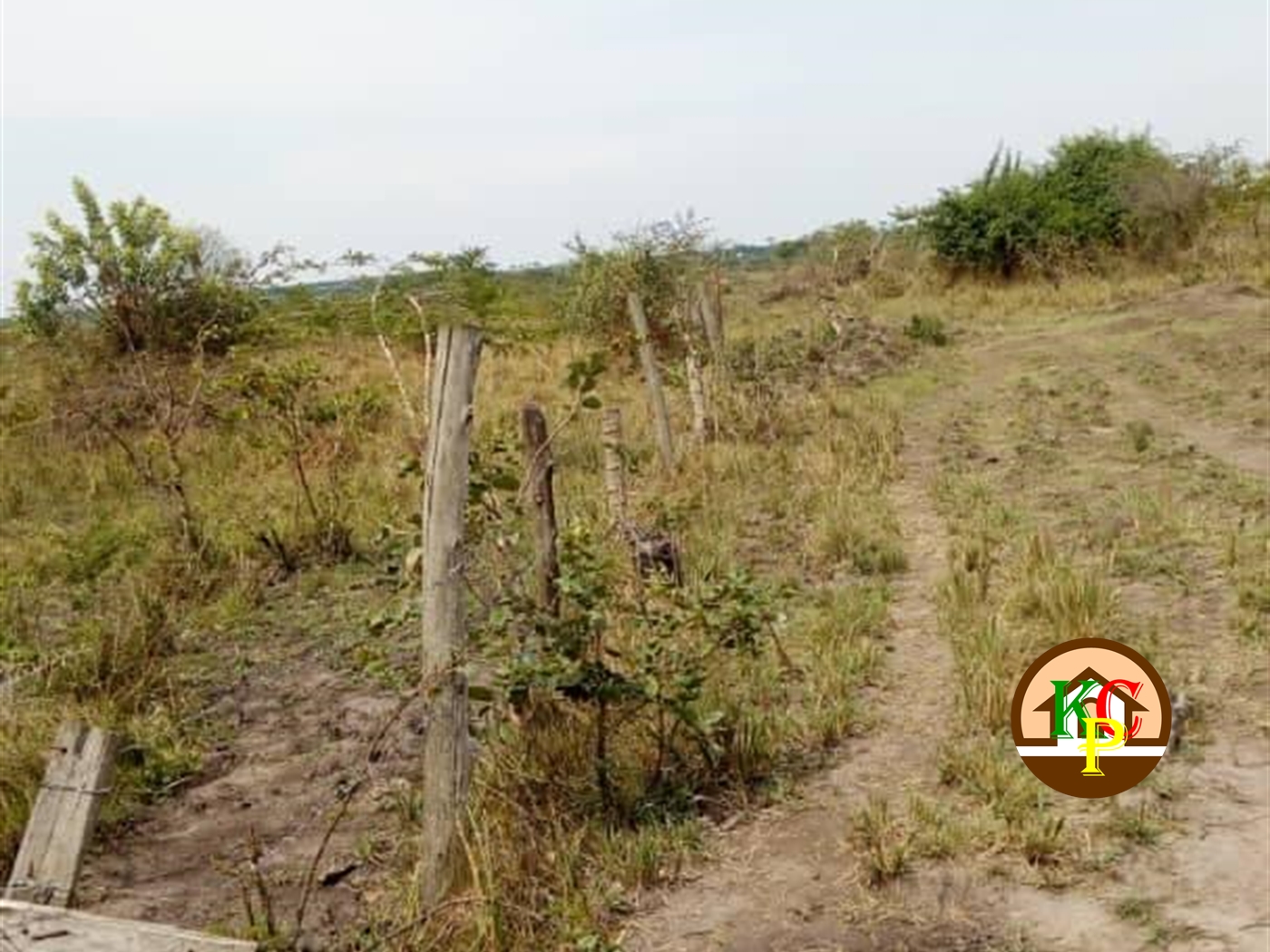 Residential Land for sale in Kikyuusa Luwero